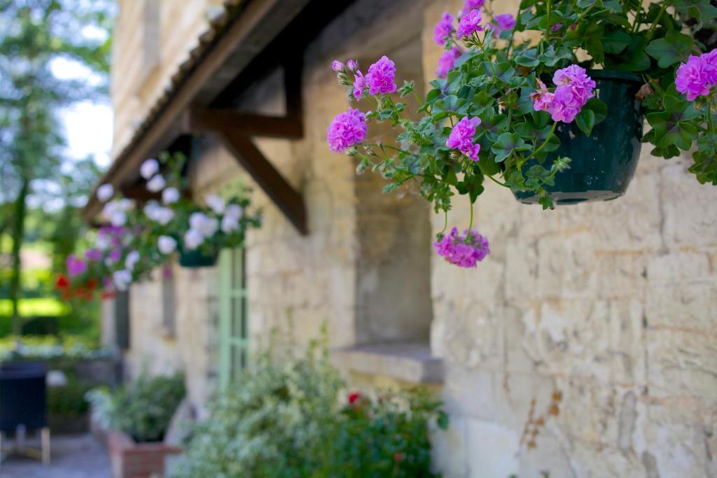 Le Domaine De Mombreux Hotel Lumbres Buitenkant foto